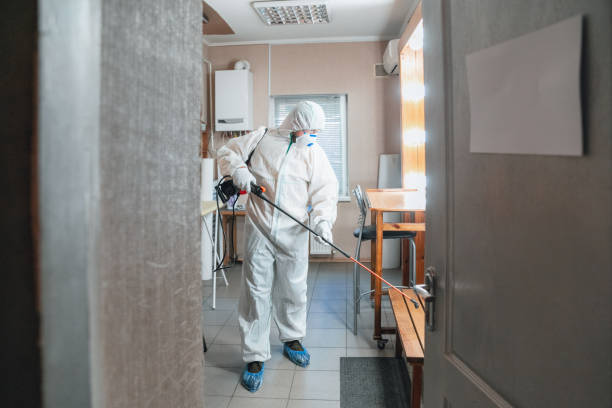Best Crawl Space Mold Remediation  in Drexel, NC