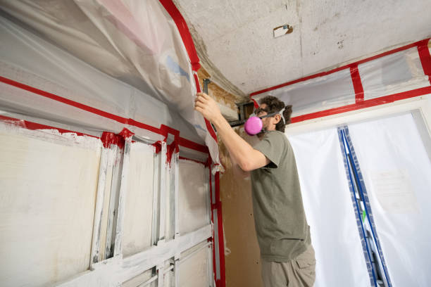 Biohazard Mold Removal in Drexel, NC