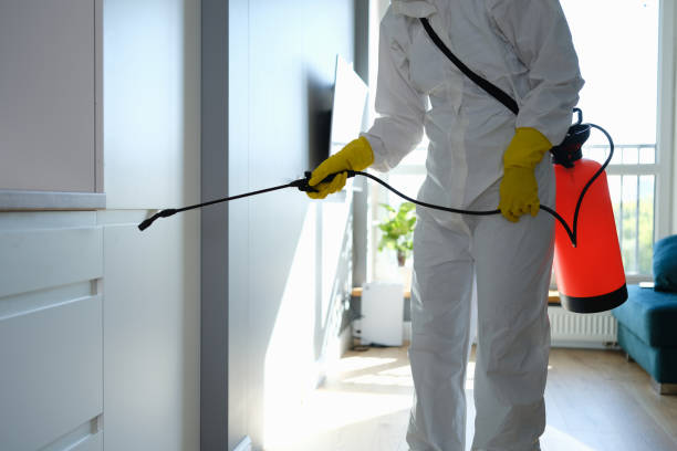 Best Industrial Mold Remediation  in Drexel, NC
