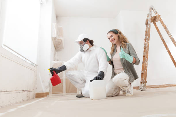 Best Mold Damage Restoration  in Drexel, NC
