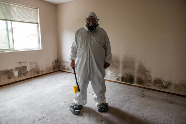 Best Post-Remediation Verification Testing  in Drexel, NC